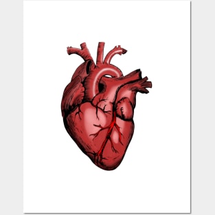 Anatomy Heart - Medical Student In Medschool Funny Gift For Nurse & Doctor Medicine Posters and Art